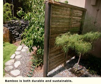 bamboo fence