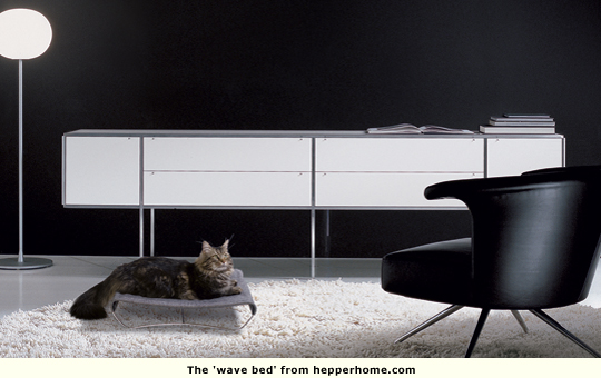 pet in bed in modern living room
