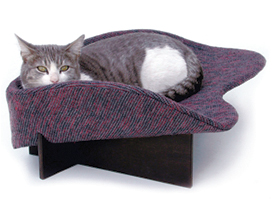 cat in bed