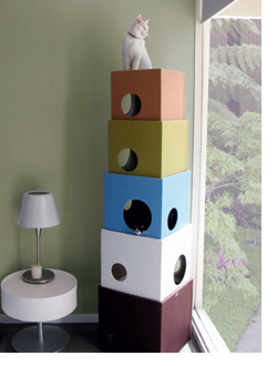 cat on top of cube condo