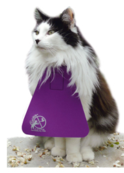 cat in plastic bib