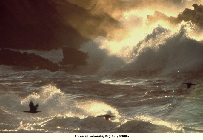 seascape copyright ernie braun