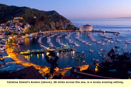 catalina waterfront