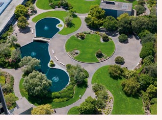 aerial view of garden