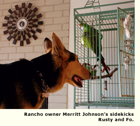 dog and bird