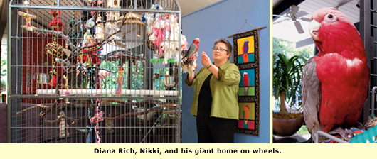 bird cage with owner and close up of bird