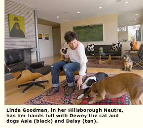 woman and her cat and two dogs