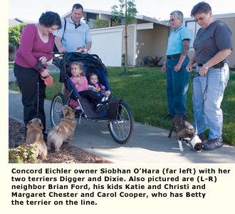 neighbors and their dogs walking