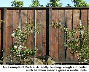 example of rustic fence