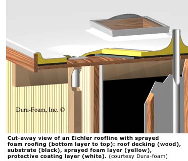 foam roof cross section