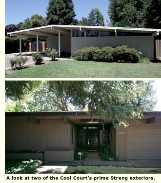 two evergreen houses