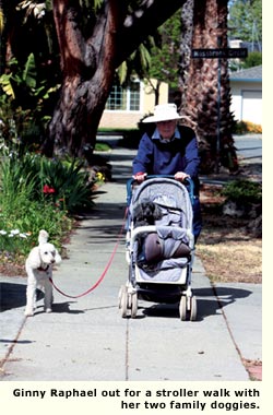 fairhaven san jose resident walking dogs