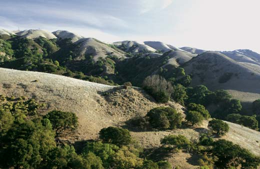 lucas valley hills