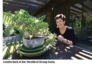 loretta dark at home