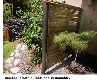 bamboo fence