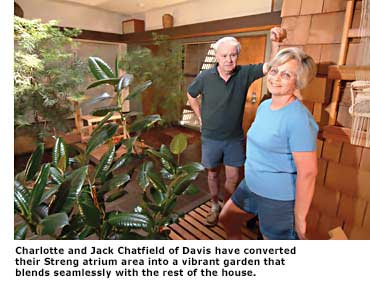 the chatfields in their atrium