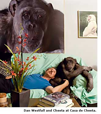 owner and chimp