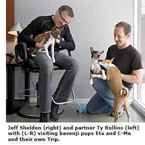 two men and three dogs