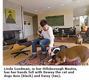woman and her cat and two dogs