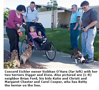 neighbors and their dogs walking