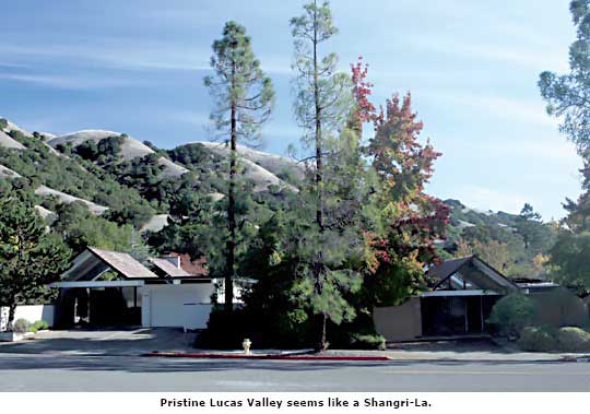 lucas valley view