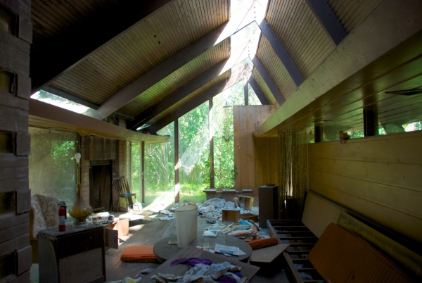 main image alt text
