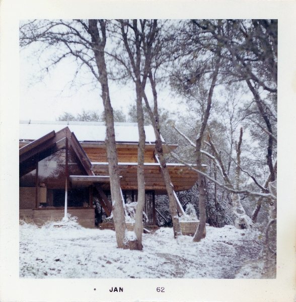 main image alt text