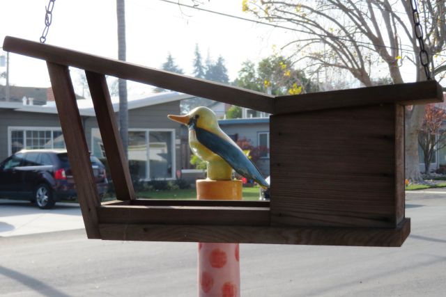 Bird