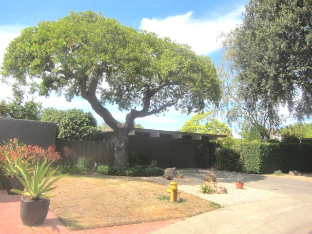 House and trees