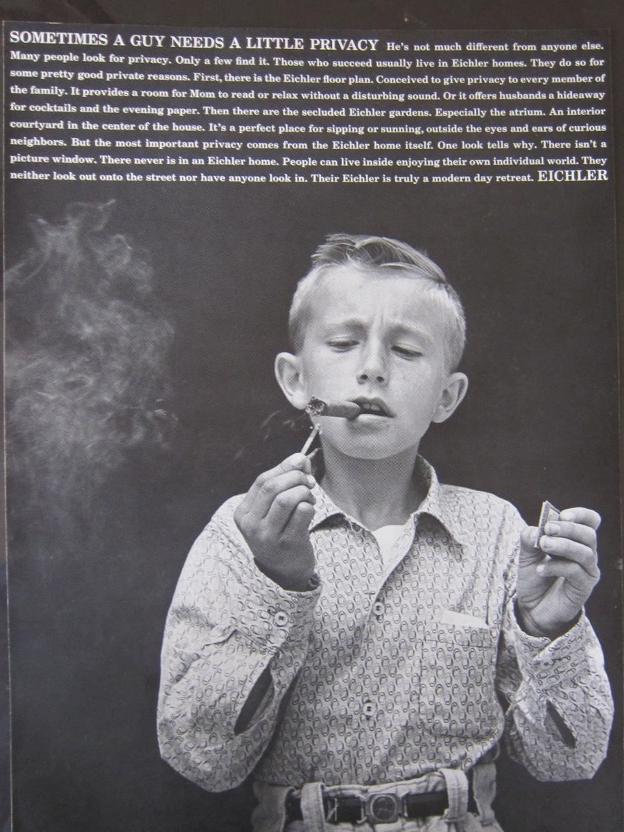Cigar