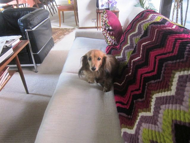 Ophie