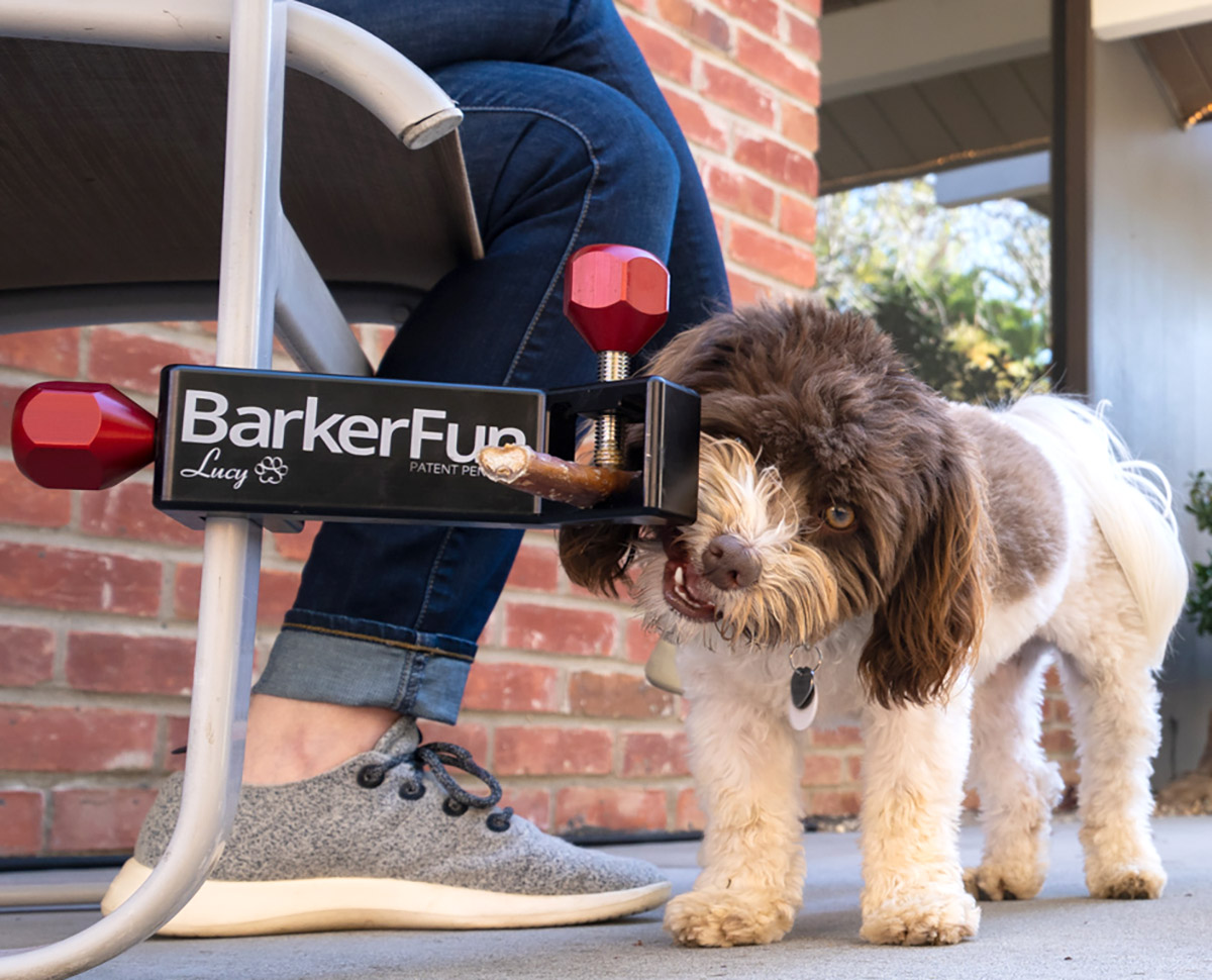 BarkerFun dog