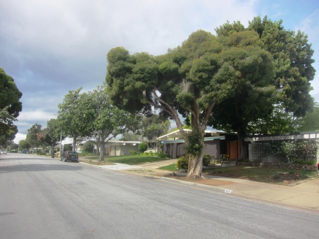 Street