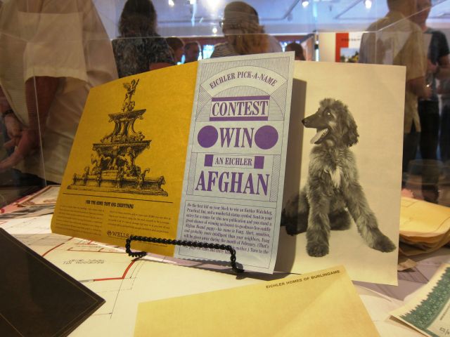 Afghan
