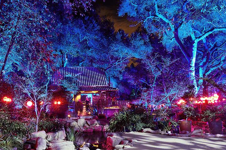 Enchanted Forest