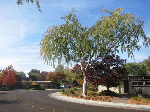 Grenmeadow
