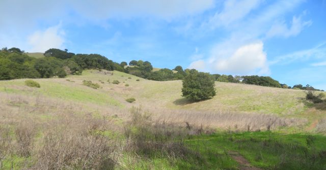 Open Space