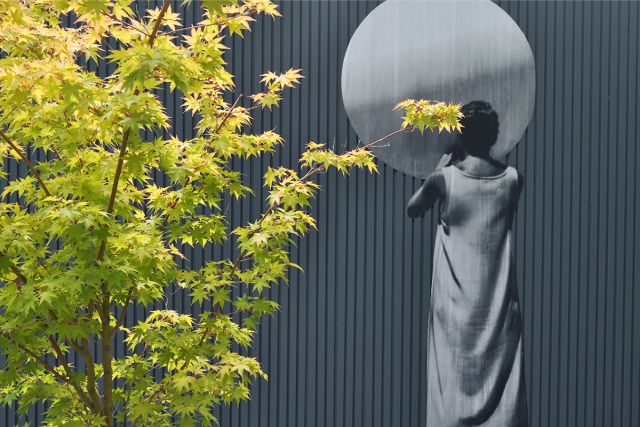 Bubble mural