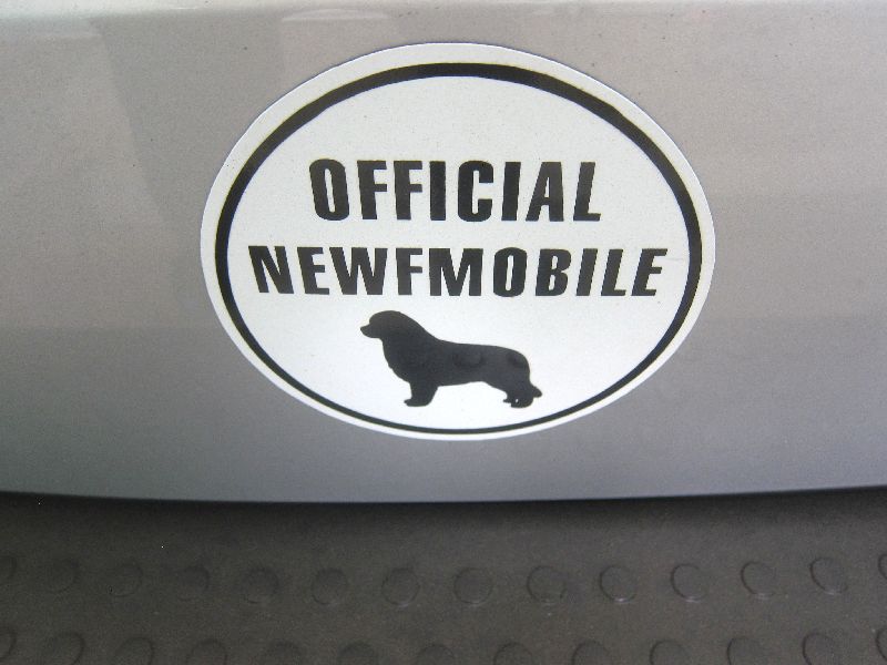 Newfies