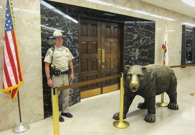 Bear at office