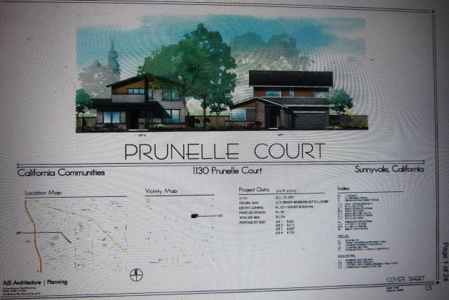 Prunelle