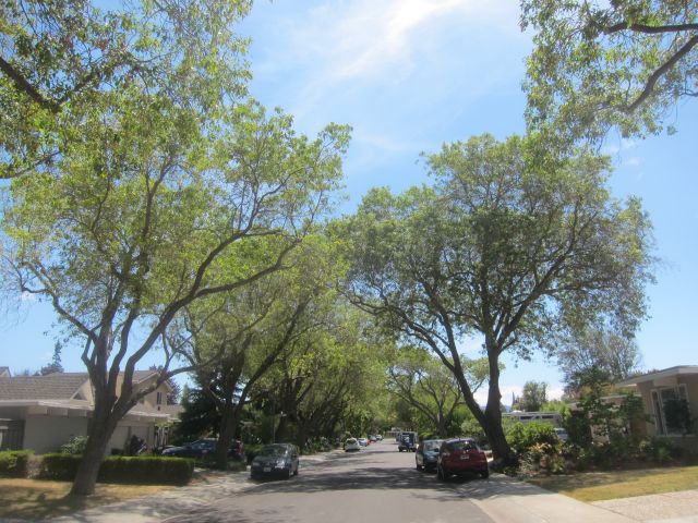 Street