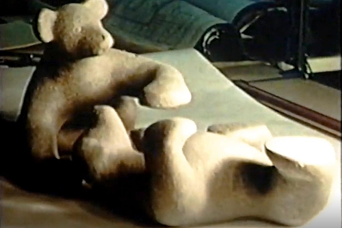 Bears