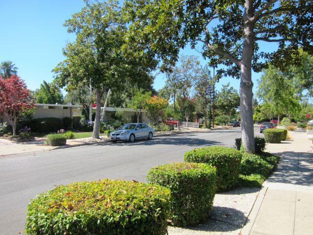 Street