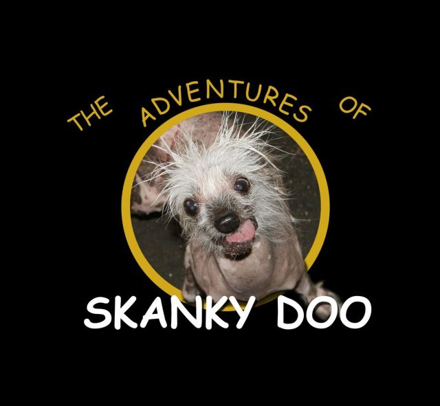 Skanky