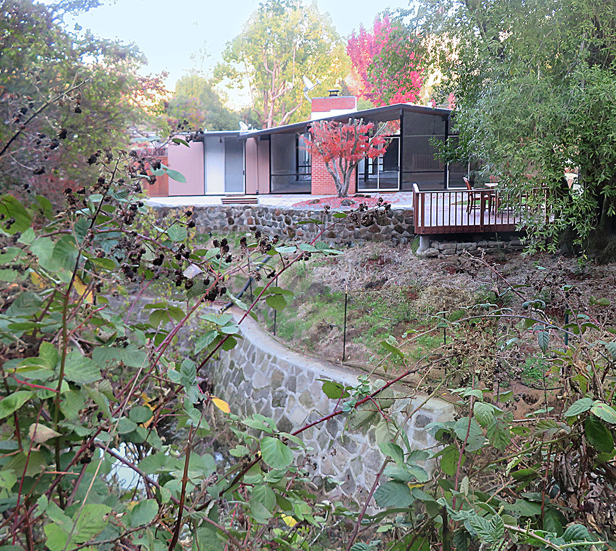 Eichler on creek