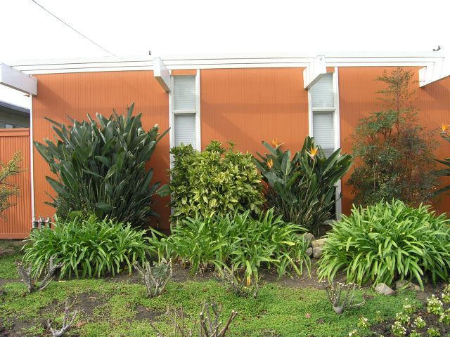 Another house