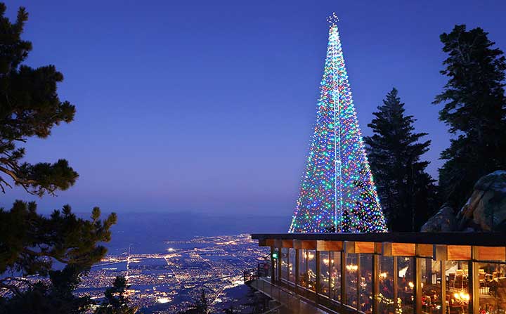 Tramway tree