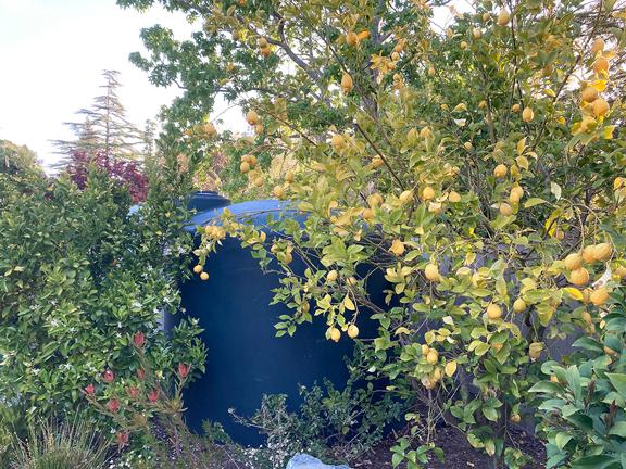 Water tank