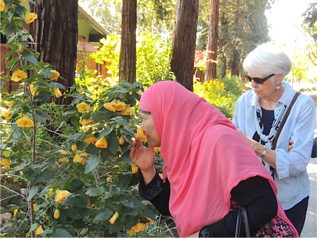 Visitors